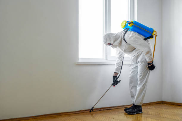 Reliable Lakeside Park, KY Pest Control Solutions