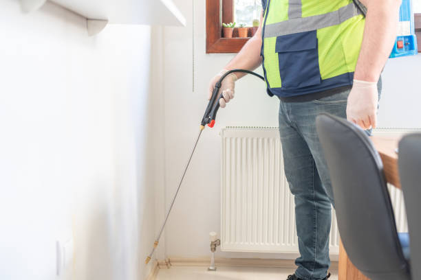 Best Wasp Removal Services  in Lakeside Park, KY