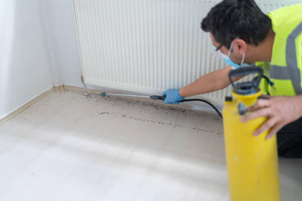 Best Wasp Removal Services  in Lakeside Park, KY